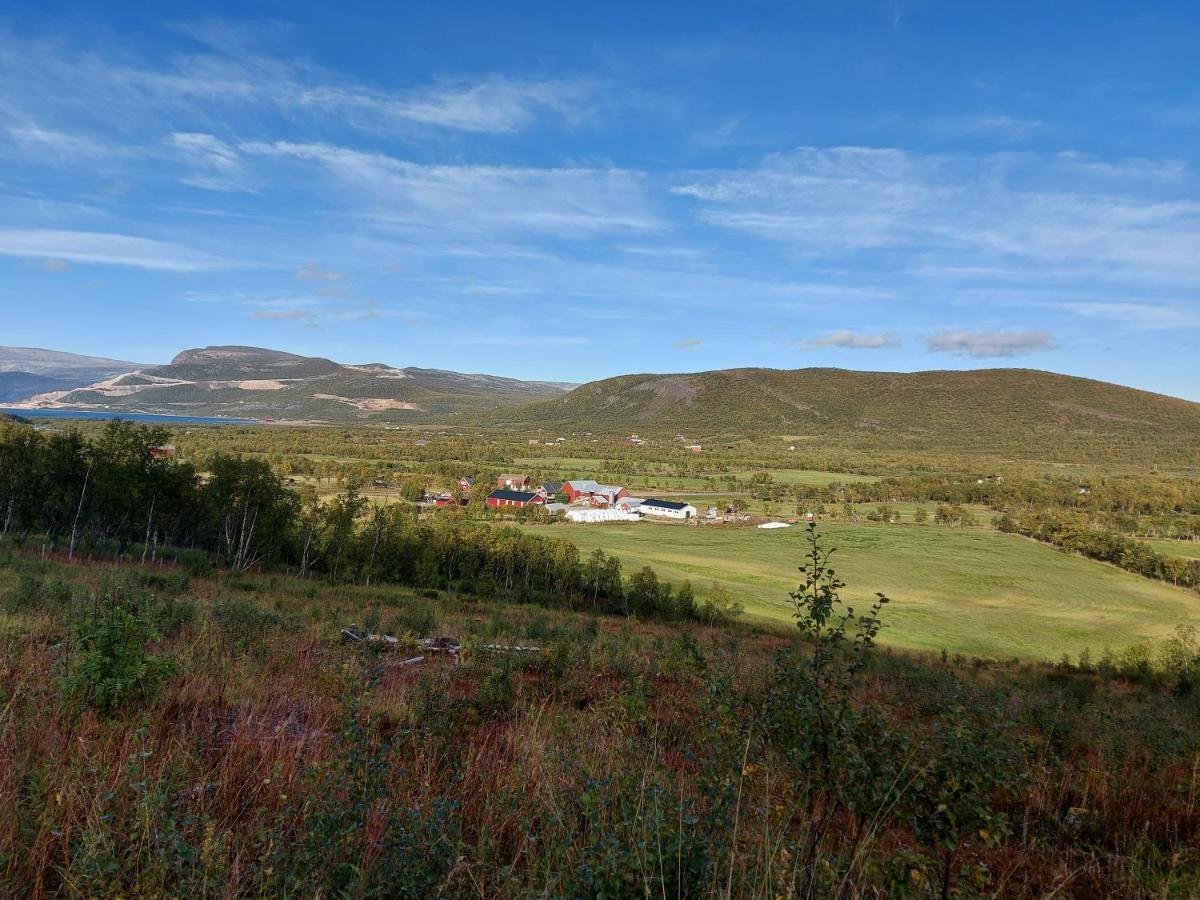 Austertanakrystallen By Pure Lifestyle Arctic Екстер'єр фото